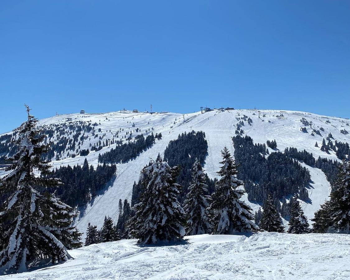 Ski&Spa Milmari L17 Kopaonik Exterior photo